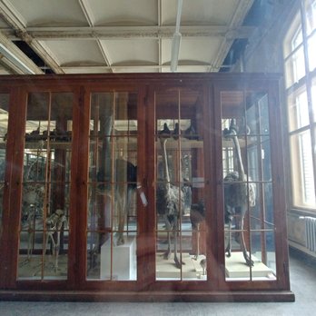 Museum für Naturkunde - A space closed to the public - Eerily emotionally provocative, given my studies + general feelings about taxidermy - Museums Near Me - Berlin, BE Museum für Naturkunde - A space closed to the public - Eerily emotionally provocative, given my studies + general feelings about taxidermy - Museums Near Me - Berlin, BE