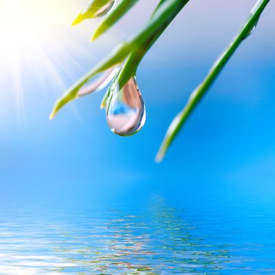 Meridian Valley Property Management