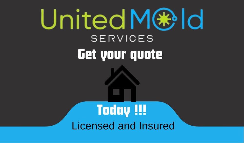 United Mold Services - mold inspector in Lehigh Acres, FL