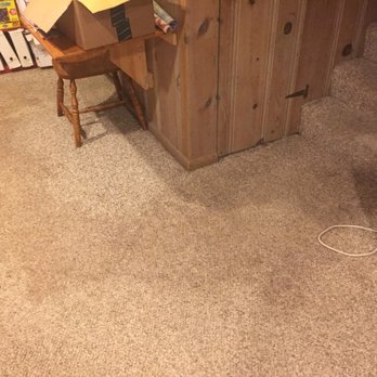 Shamrock Carpet & Upholstery Cleaning - Dry & stained - Carpet Cleaning Near Me - Baldwin, Maryland Shamrock Carpet & Upholstery Cleaning - Dry & stained - Carpet Cleaning Near Me - Baldwin, Maryland