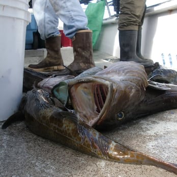 CALIFORNIA DAWN SPORT FISHING - Updated June 2026 - 104 Photos & 70 ...