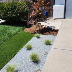 My lovely garden