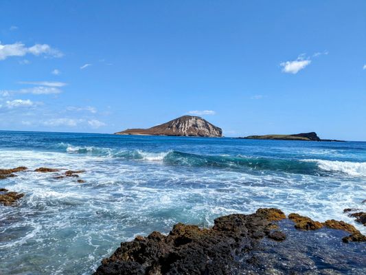 Makapuu Beach Park by null