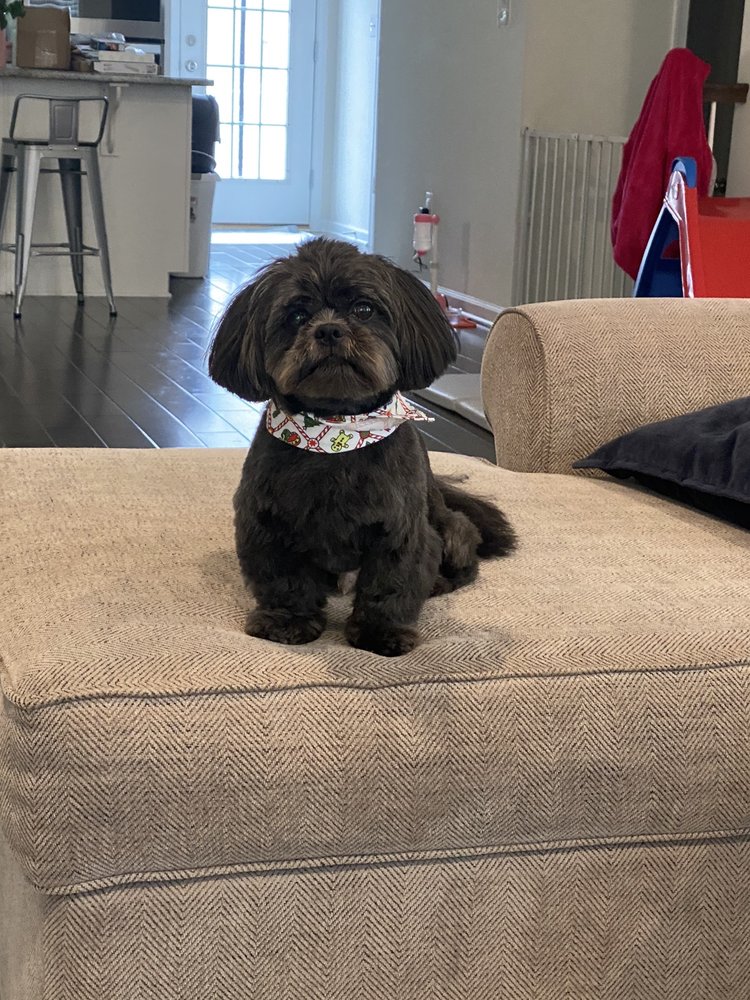 MOBILE PAW SPA Updated October 2024 53 Photos & 20 Reviews Wood