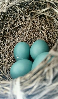 Inn On Columbia by null