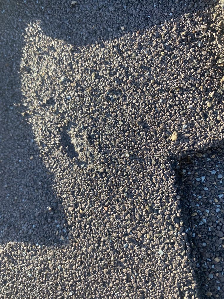 Slide of Semper Solaris