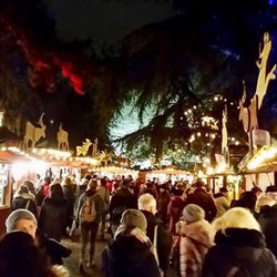 Weihnachtsmarkt im Stadtgarten - Weihnachtsmarkt im Stadtgarten in Köln