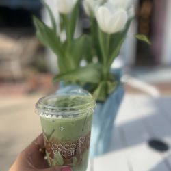 Cocoa + Cream - Strawberry Dream Matcha