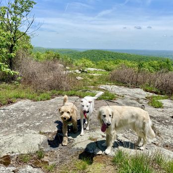 Ruff Hikers - Hiking Near Me Ruff Hikers - Hiking Near Me