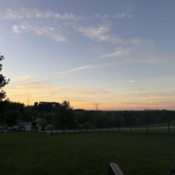 Franklin Dog Park - View