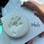 Photo of All Cats and Dogs Veterinary Clinic