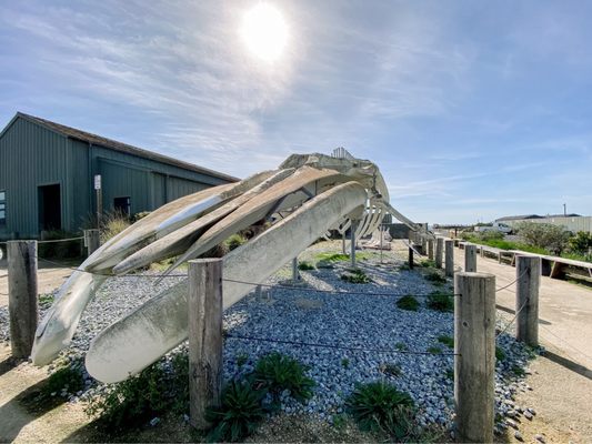 Seymour Marine Discovery Center by null