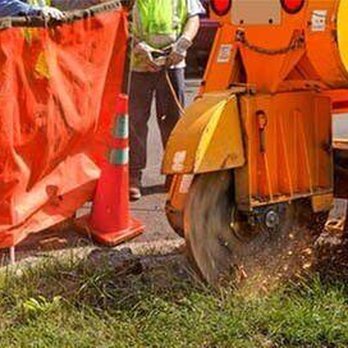 Houston Tree Service Team - untitled - Tree Services Near Me - Houston, Texas Houston Tree Service Team - untitled - Tree Services Near Me - Houston, Texas