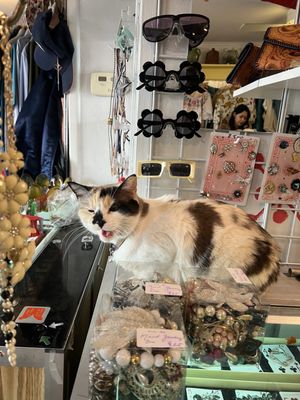 Glam Factory Vintage by null