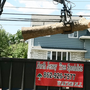 Photo of North Jersey Tree Service