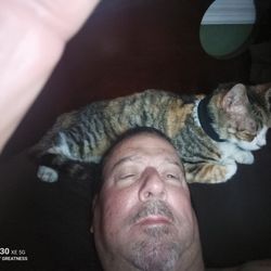 Veterinary Associates of Jacaranda - Callie, the "lap cat", sleeping on my head.