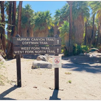 Indian Canyons - Off to Murray Canyon Trail. - Parks Near Me - Palm Springs, California