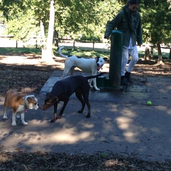 Centennial Dog Park - Dog Parks Near Me - Nashville, Tennessee Centennial Dog Park - Dog Parks Near Me - Nashville, Tennessee
