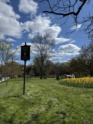 Sherwood Gardens by null