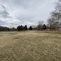 Big field (cloudy day)