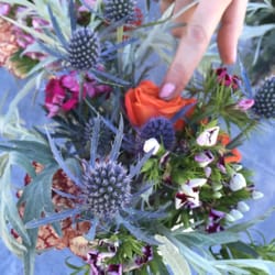 Roadside Flowers