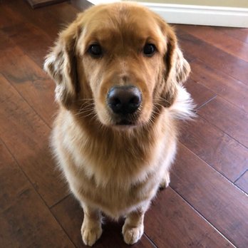 A Pawsitive Dog Spa - Pet Groomers Near Me - Poway, California A Pawsitive Dog Spa - Pet Groomers Near Me - Poway, California