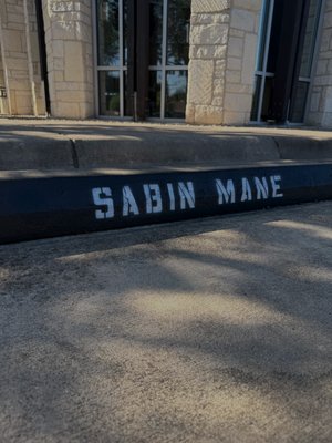 Sabin Mane