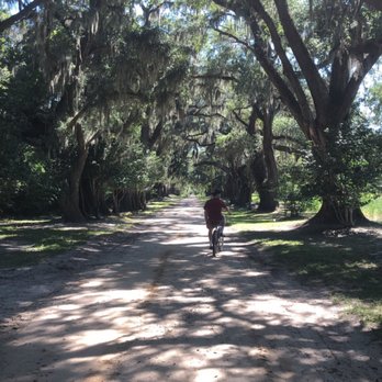 Mansfield Plantation - Bed & Breakfast Near Me - Georgetown, South Carolina