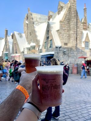 The Wizarding World of Harry Potter by null
