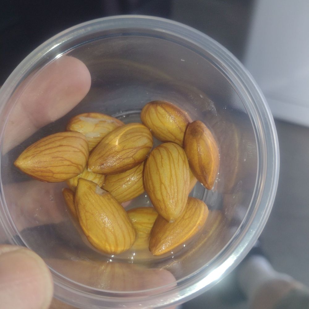 Vista Test Only Center - Chilled walnuts! - Smog Check Stations Near Me - Pasadena, California Vista Test Only Center - Chilled walnuts! - Smog Check Stations Near Me - Pasadena, California