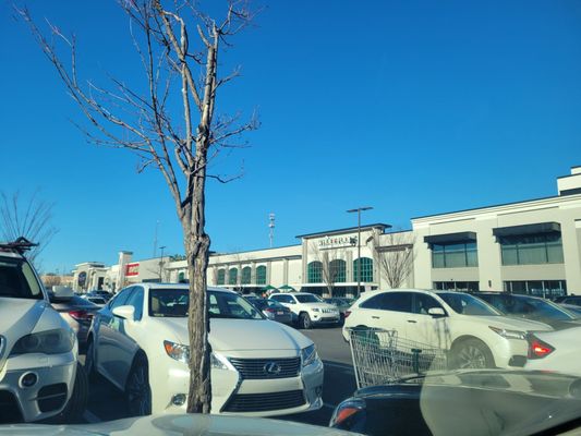 Whole Foods Market by null