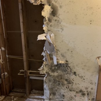 TruOrganic Restoration - Moldy Sheetrock - Damage Restoration Near Me TruOrganic Restoration - Moldy Sheetrock - Damage Restoration Near Me