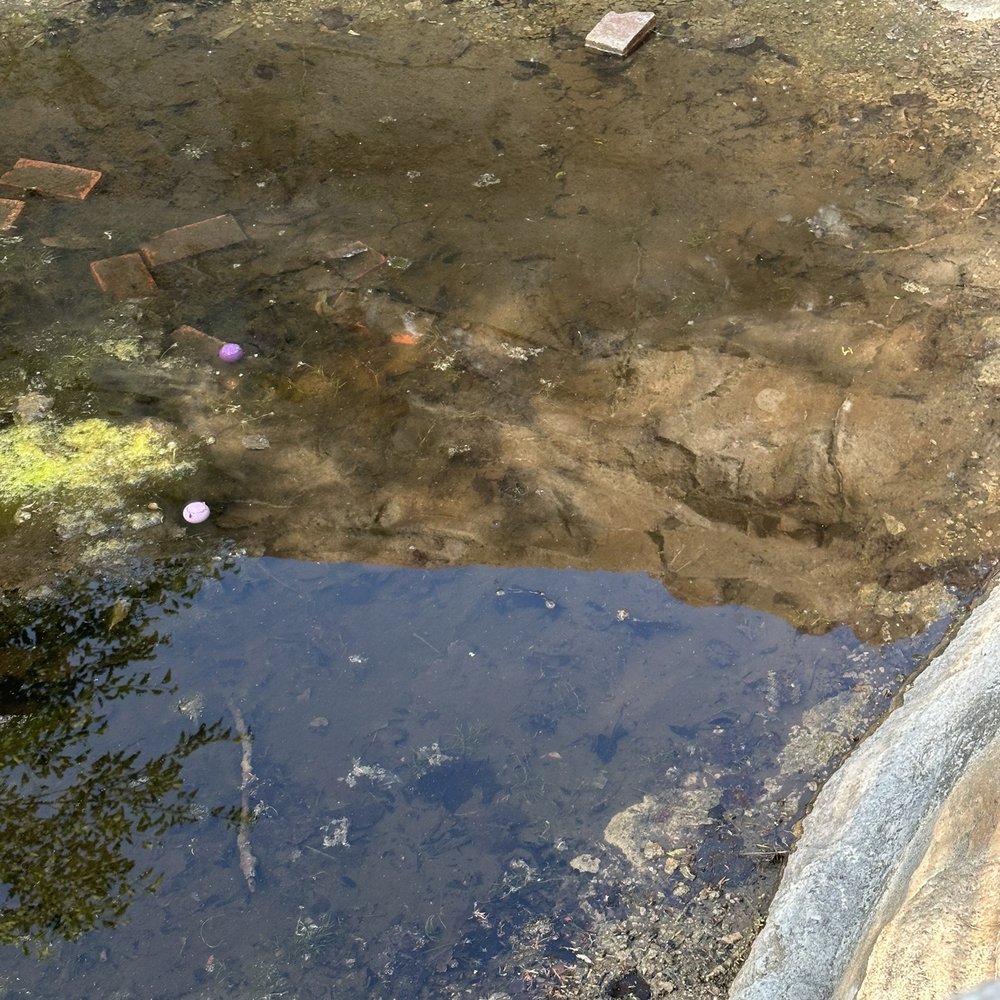 Dirty smelly water! Dirty smelly water!