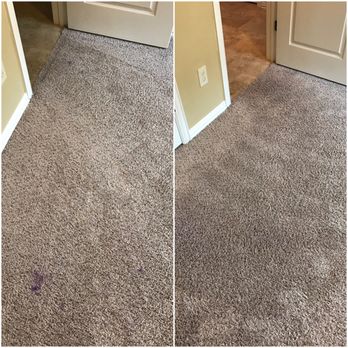 Made New Again - Spot Cleaning - removing Luminol from a crime scene cleanup - Carpet Cleaning Near Me - Dickinson, Texas Made New Again - Spot Cleaning - removing Luminol from a crime scene cleanup - Carpet Cleaning Near Me - Dickinson, Texas