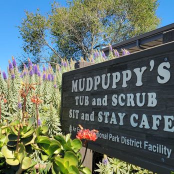 Sit & Stay Cafe - Cafes Near Me - Richmond, California Sit & Stay Cafe - Cafes Near Me - Richmond, California