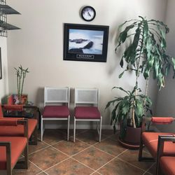 Acupuncture Traditional Chinese Medicine Center