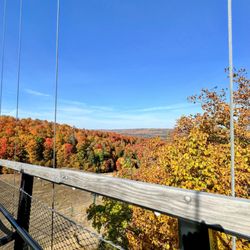 SkyBridge Michigan - The view