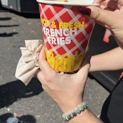 Philly Fry Truck - Cheesesteak fries