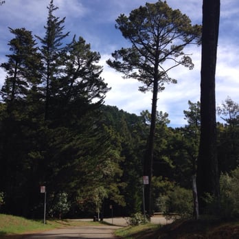 Joaquin Miller Park - Going up the hike trail - Parks Near Me - Oakland, California
