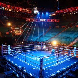 Elite Boxing and Fighting Sports