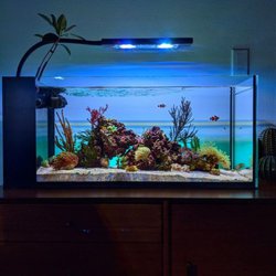 Aquazone Aquarium Services