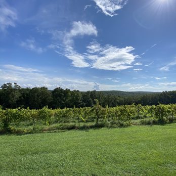 Cave Vineyard - Greenery - Wineries Near Me - Sainte Genevieve, Missouri Cave Vineyard - Greenery - Wineries Near Me - Sainte Genevieve, Missouri