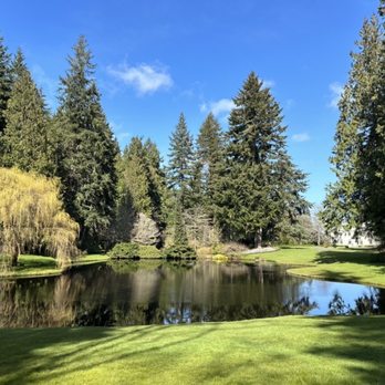 Bloedel Reserve - First day of Spring 2023 at Bloedel. It did not disappoint. - Parks Near Me - Bainbridge Island, Washington Bloedel Reserve - First day of Spring 2023 at Bloedel. It did not disappoint. - Parks Near Me - Bainbridge Island, Washington