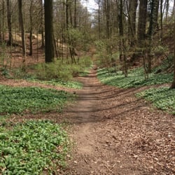 Sint Alenapark