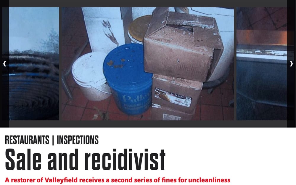 PETINOS Updated September 2024 21 Rue de GrandeÎle, SalaberrydeValleyfield, Quebec