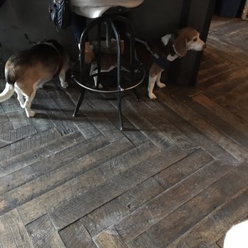 Brass Tacks - Puppies allowed - Cocktail Bars Near Me - San Francisco, California Brass Tacks - Puppies allowed - Cocktail Bars Near Me - San Francisco, California