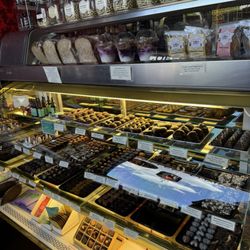 Synergy Cafe - Cosmic array of delectable taste treats