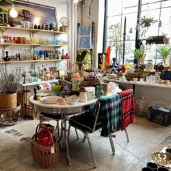 Daddy's Plants - Antiques in the back! Treasures!
