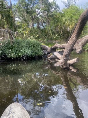Canoe Outpost-Little Manatee River by null