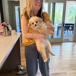 Massive dog NOT what we bought Love him but they are not to be trusted. Teeth fell out and can't be potty trained Massive dog NOT what we bought Love him but they are not to be trusted. Teeth fell out and can't be potty trained